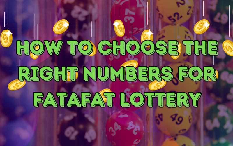 How to Choose the Best Fatafat Lottery Right Numbers