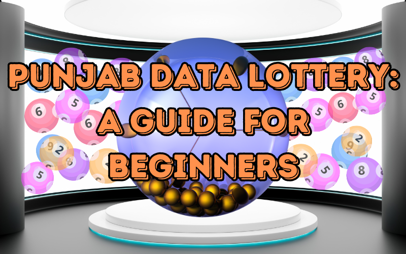 Punjab Data Lottery: A Guide for Beginners