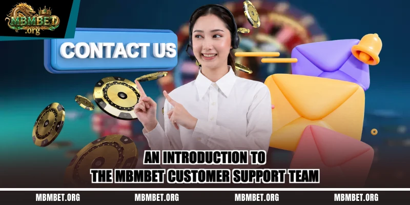 An introduction to the Mbmbet customer support team