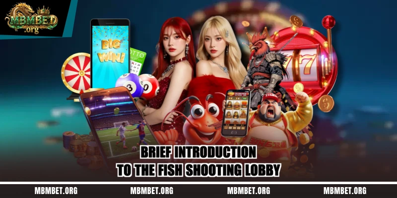 Brief introduction to the fish shooting lobby