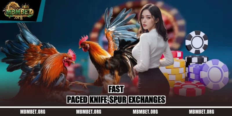 Fast-paced knife-spur exchanges
