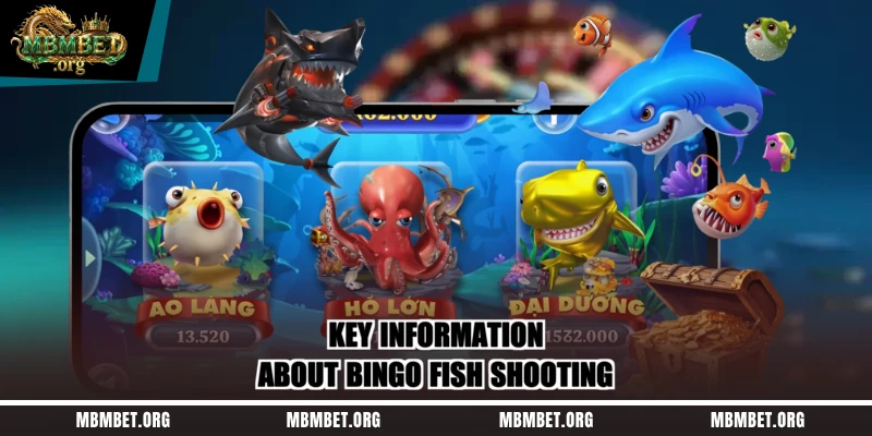 Key information about Bingo fish shooting