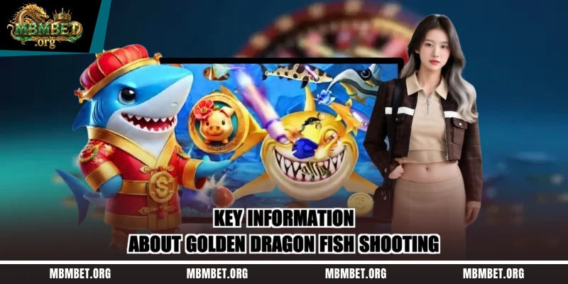 Key information about Golden Dragon fish shooting
