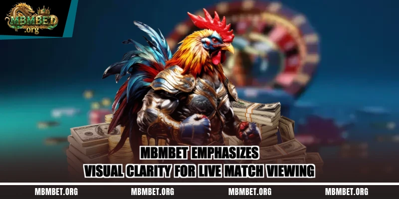 Mbmbet emphasizes visual clarity for live match viewing