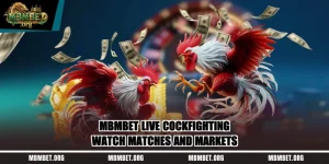 Mbmbet Live Cockfighting – Watch Matches And Markets