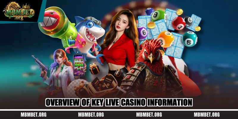 Overview of key live casino information