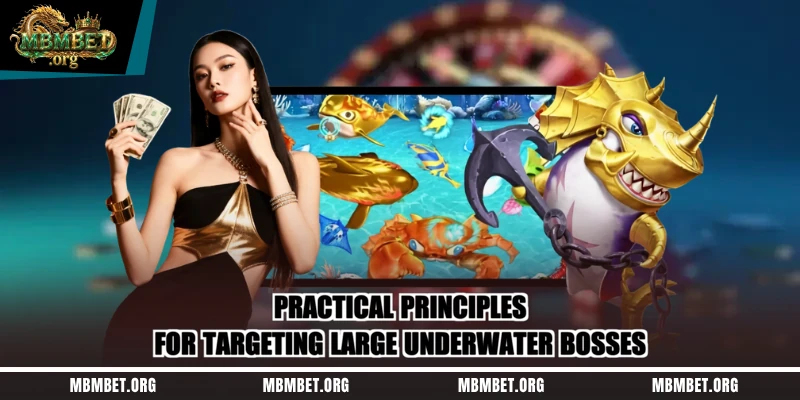Practical principles for targeting large underwater bosses